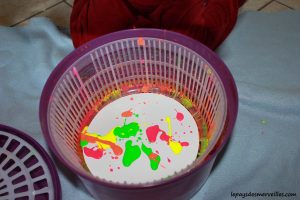 Peindre avec une essoreuse à salade (11)