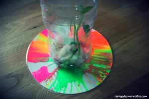 Peinture essoreuse salade