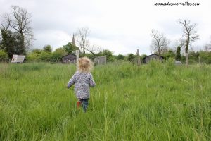 Séjour ferme Calvados (16)