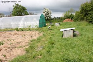 Séjour ferme bio (23)