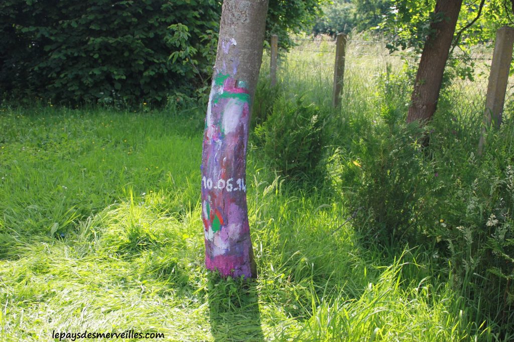 Peindre sur un arbre (1)