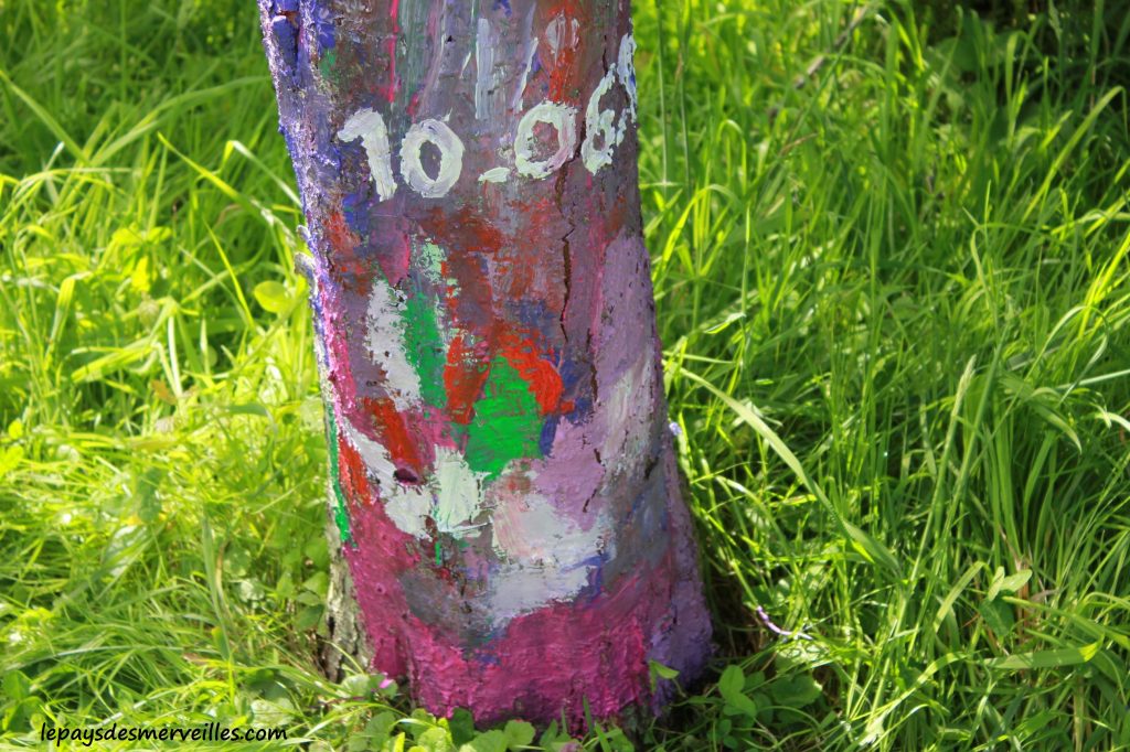 Peindre sur un arbre (2)