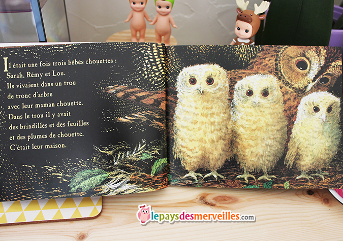 Bebes Chouettes Un Livre Jeunesse Pour Surmonter La Peur De La Separation Chut Les Enfants Lisent 53 Le Pays Des Merveilles