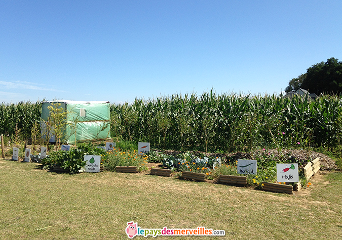 labyrinthe caen potager