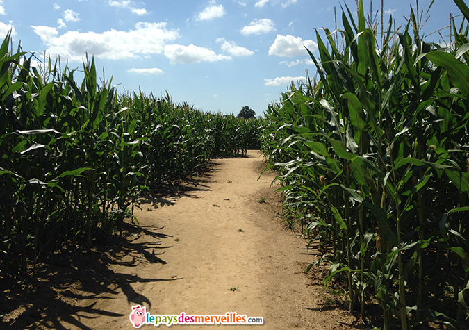 labyrinthe de caen