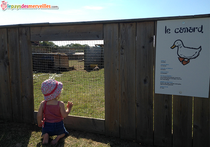 sortie caen bébé