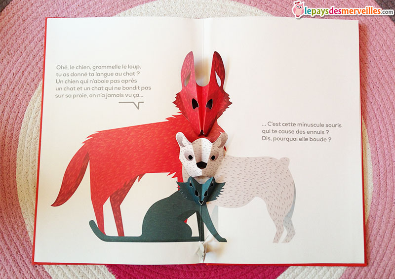 livre animé animaux