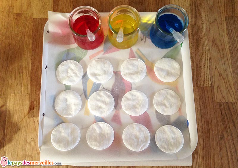 activite manuelle et sensorielle coton pipette colorant