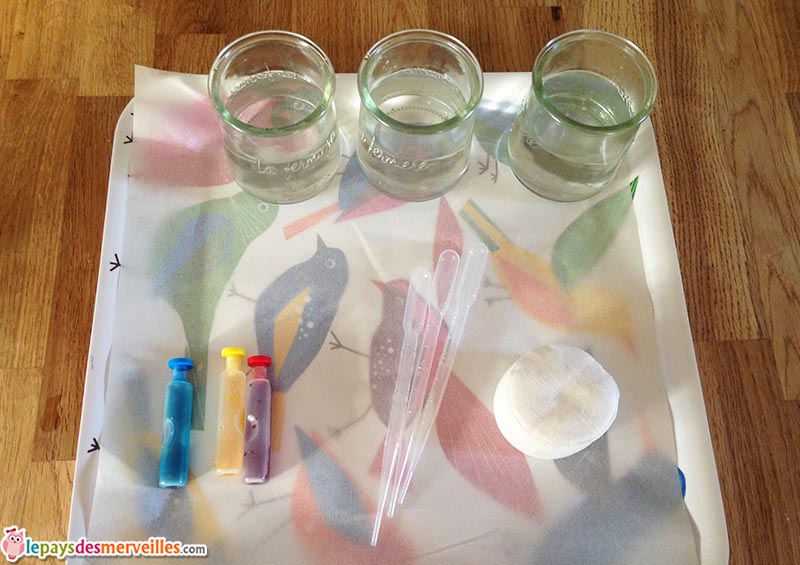 peinture disque a demaquiller colorant pipette