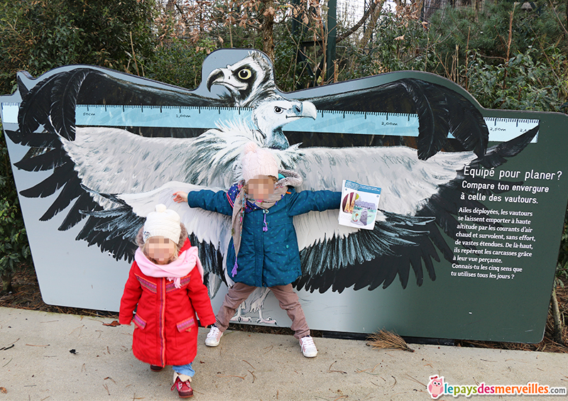 animation pour les enfants au zoo de Vincennes