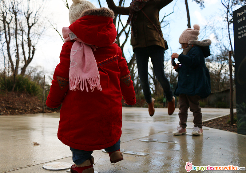 animation sur le saut des animaux au zoo de paris