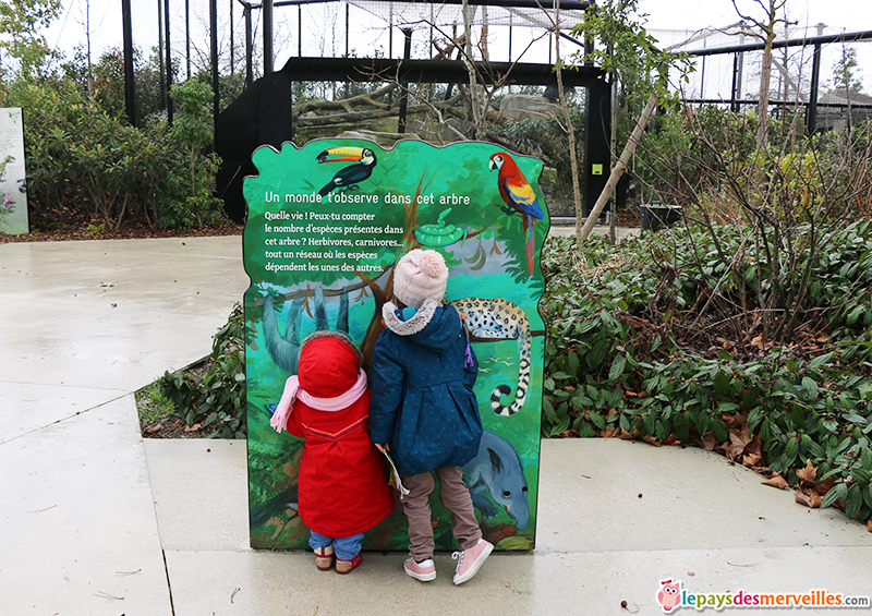 panneau ludique pour les enfants au zoo de paris