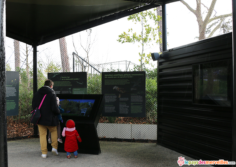 ecran tactile et intéractif du zoo de paris