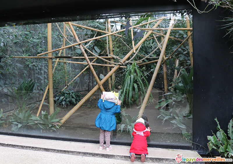 parc zoologique de paris avec les enfants