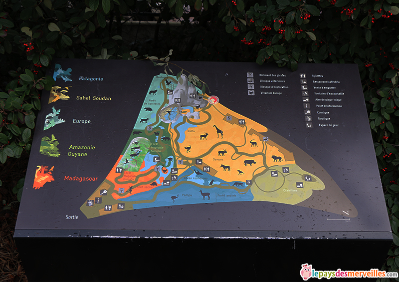 Zoo de vincenne plan serre