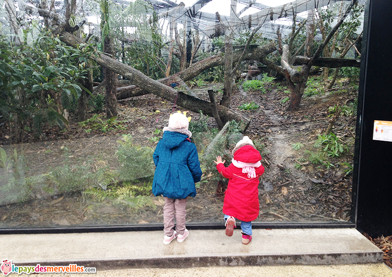 zoo de Vincennes