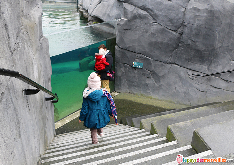 zoo de paris aquarium