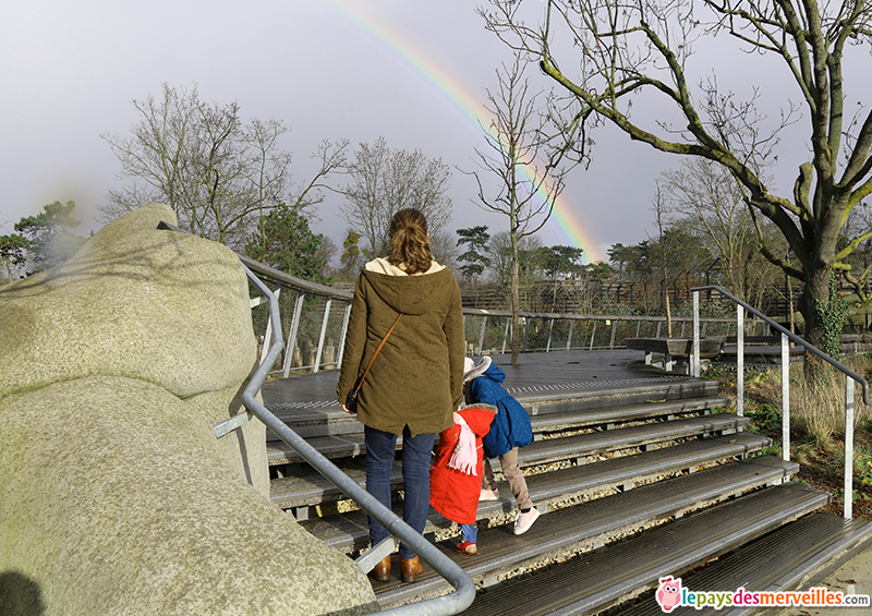 zoo de paris en fevrier