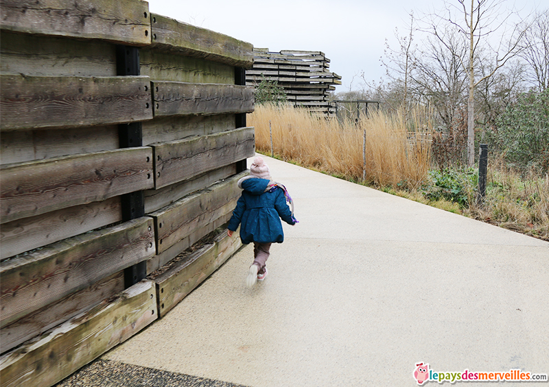 zoo de paris en hiver