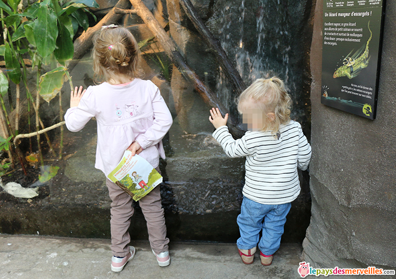 Enfants au zoo de Vincennes