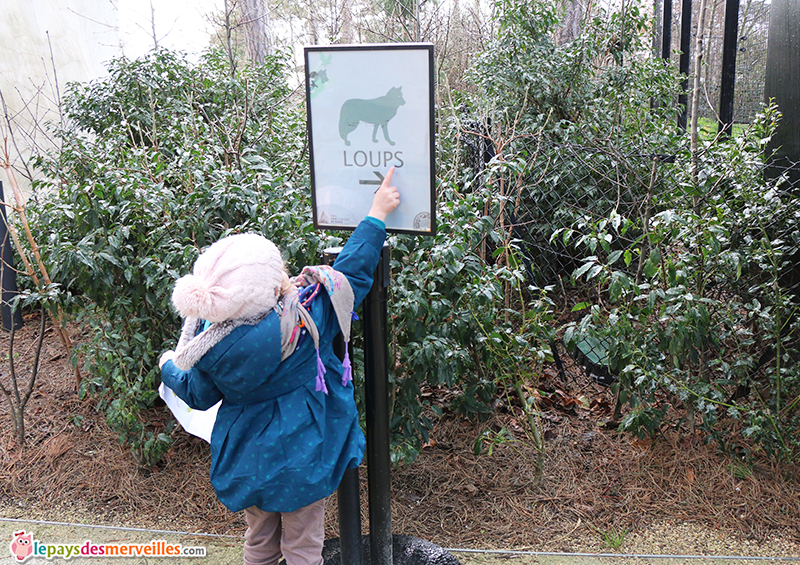 panneaux des loups au zoo de Vincennes