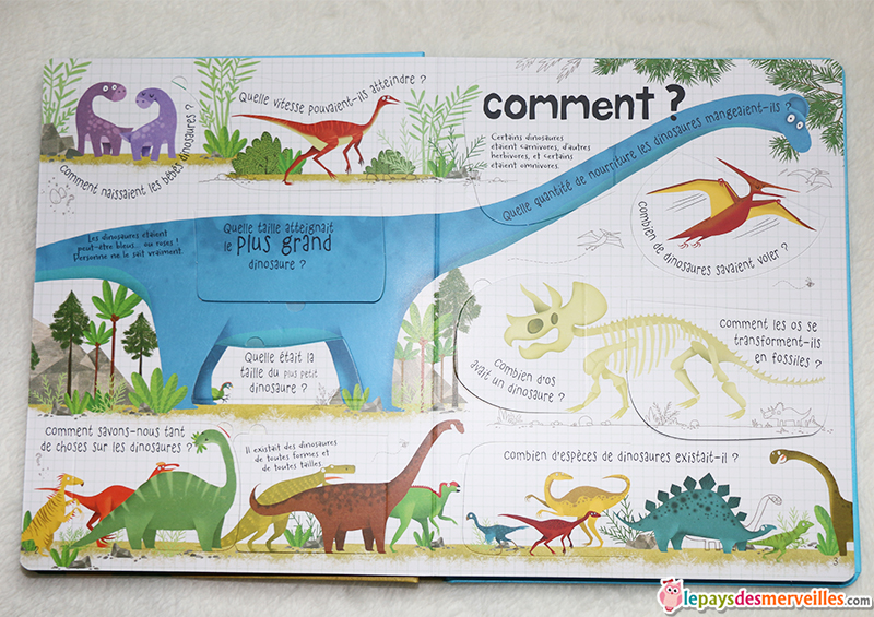 mon livre des questions reponses dinosaures usborne (2)