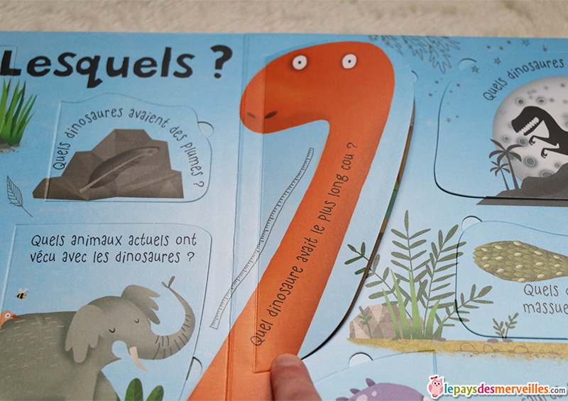 mon livre des questions reponses dinosaures usborne (5)