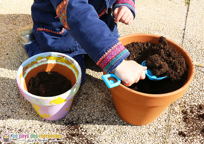 plantation enfant fleurs annuelles