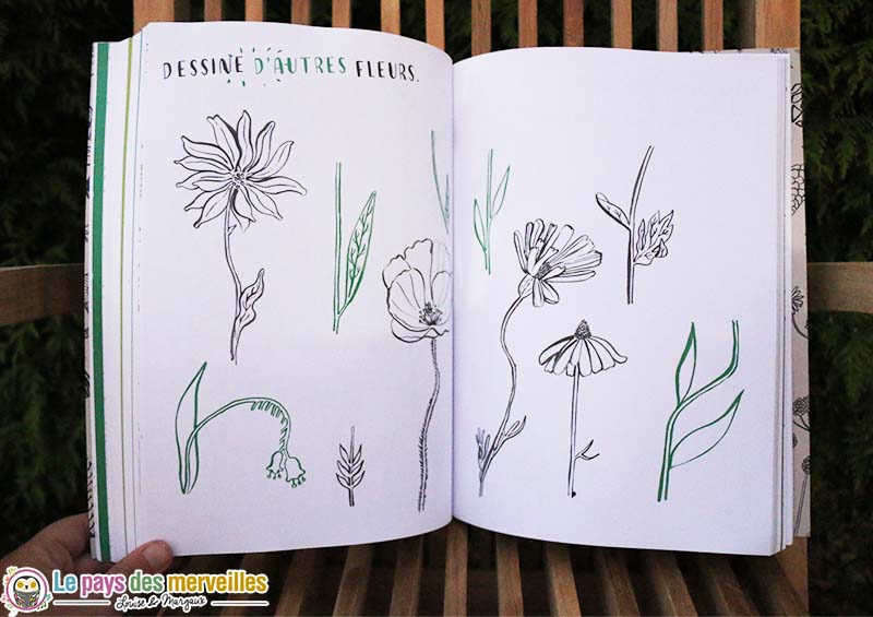 dessin fleurs