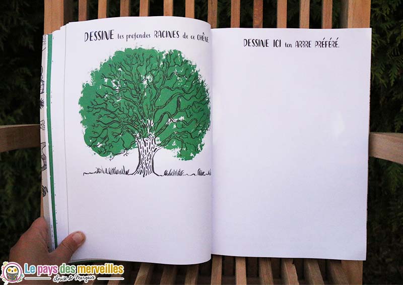 dessin racine chene