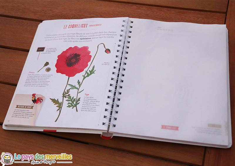 herbier coquelicot