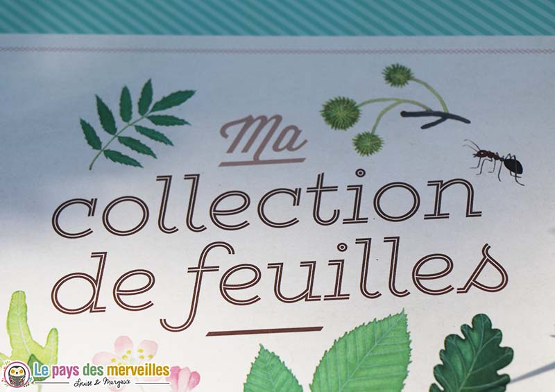 ma collection de feuilles