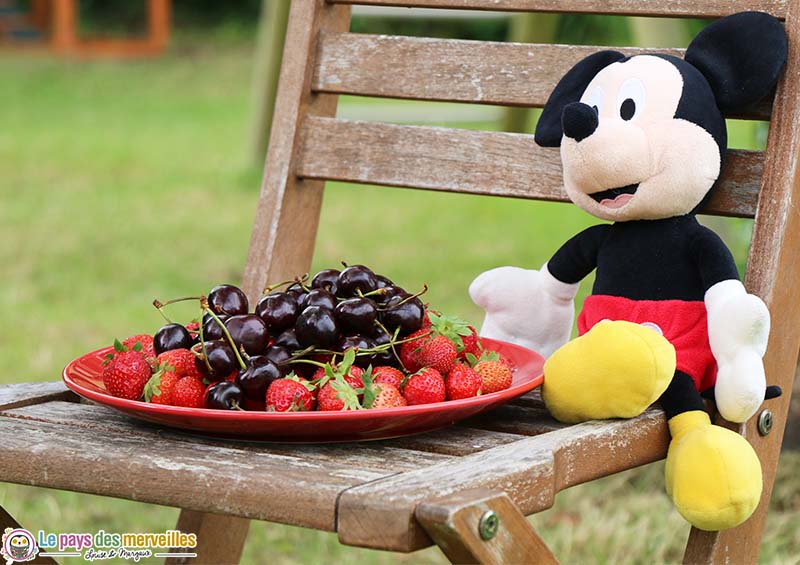 fruit deco table mickey