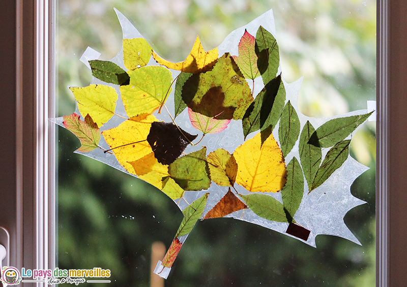 Vitrail d'automne ou attrape-soleil de feuilles mortes { DIY & d'activités  manuelles d'automne } - Plu…