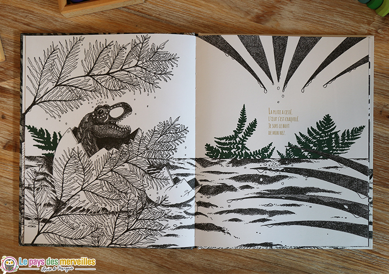 illustrations antoine guilloppe