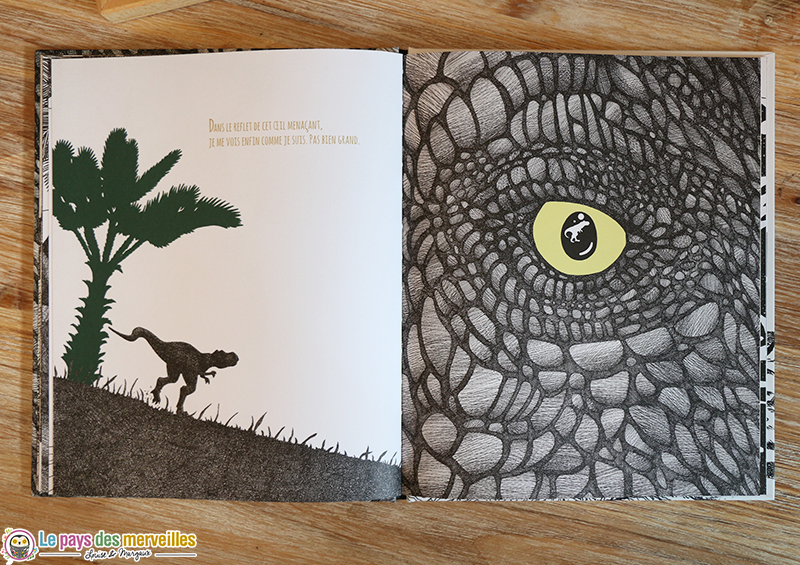 livre jeunesse dinosaure