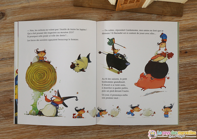 illustrations cardamome