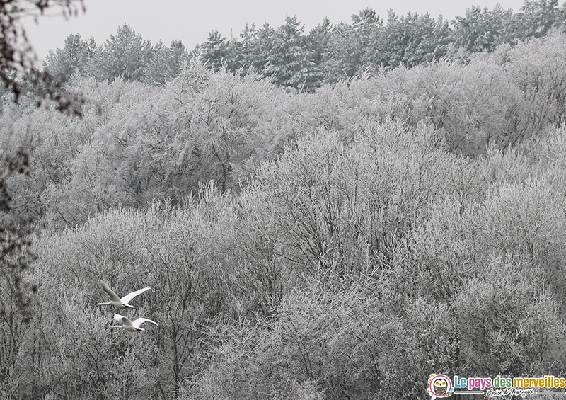 paysage givre normandie