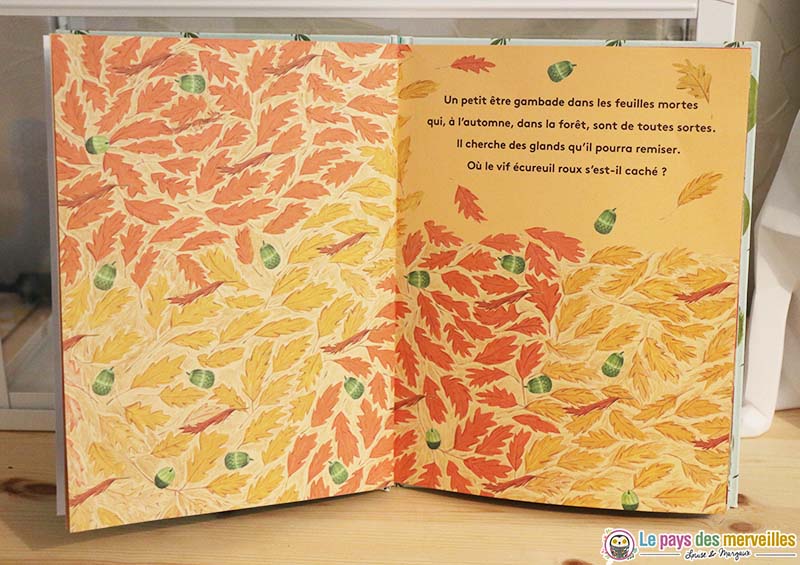 Illustrations du livre Où se cachent-ils ? 
