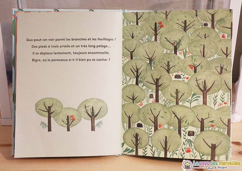 livre cherche et trouve sur le thème de la nature