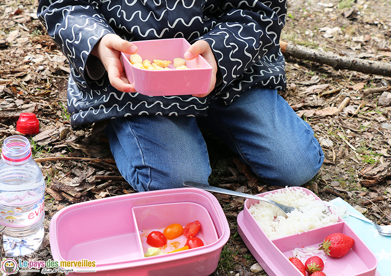 lunch box enfant pour pique-nique