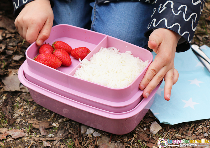 lunch box avec compartiments et pain de glace