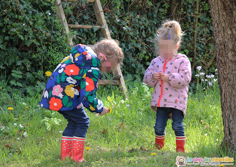 cueillir des fleurs pour un bricolage de printemps