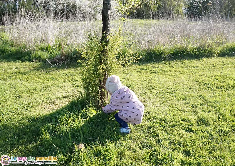 chasse aux oeufs dans la nature 