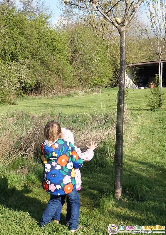 chasse aux oeufs de Pâques dans la nature en Normandie 