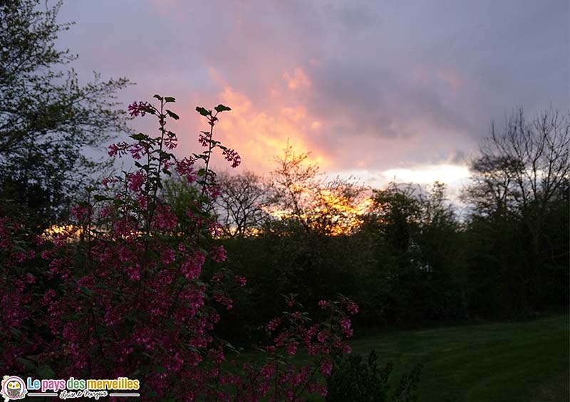 coucher de soleil au theil bocage