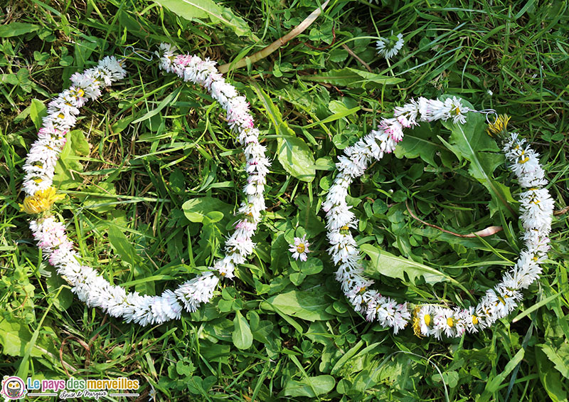 faire une couronne de fleurs avec des pâquerettes