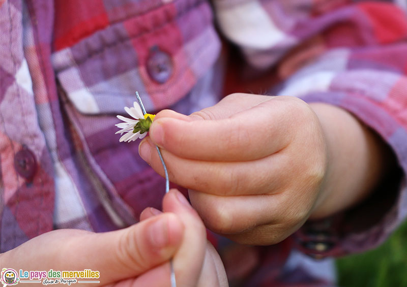 Enfiler une fleur sur du fil de fer