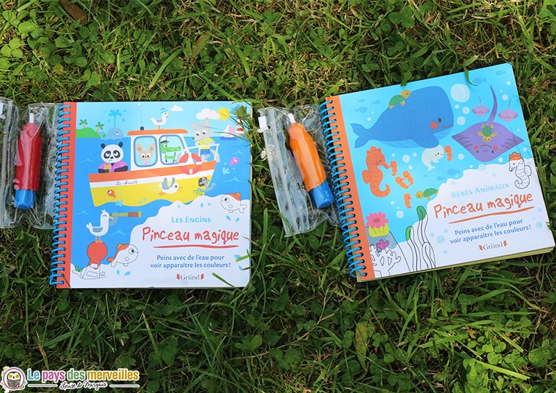 PINCEAU MAGIQUE CHERCHE ET TROUVE LES ANIMAUX AHRWEILLER LUCILE GRUND  9782324025617 JEUNESSE ACTIVITES 3 - 6 ANS LIVRES AVEC MATERIELS -  Librairie Filigranes