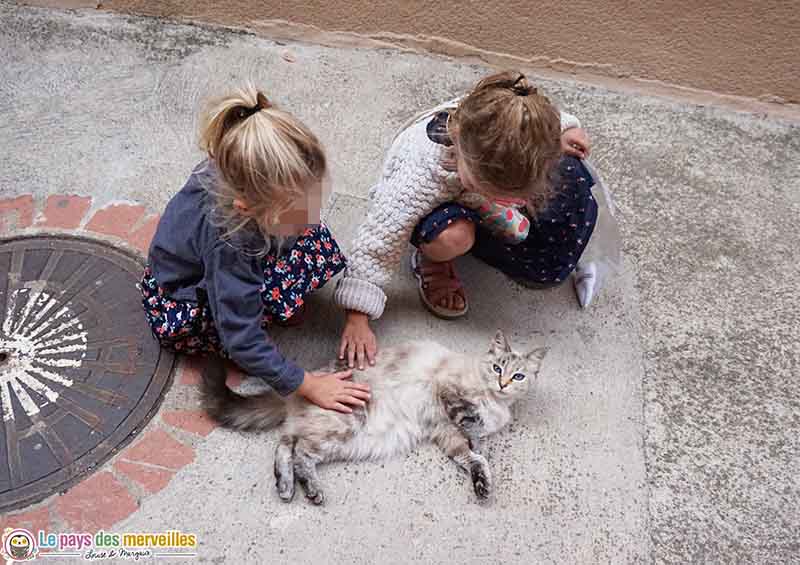 enfants et chat